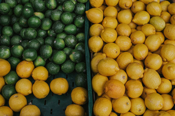 Lee más sobre el artículo Limoneros en Foco: Cómo fue la Economía del Limón en 2023