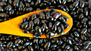 Lee más sobre el artículo Porotos negros, seguridad alimentaria y el compromiso de Grupo Ruiz