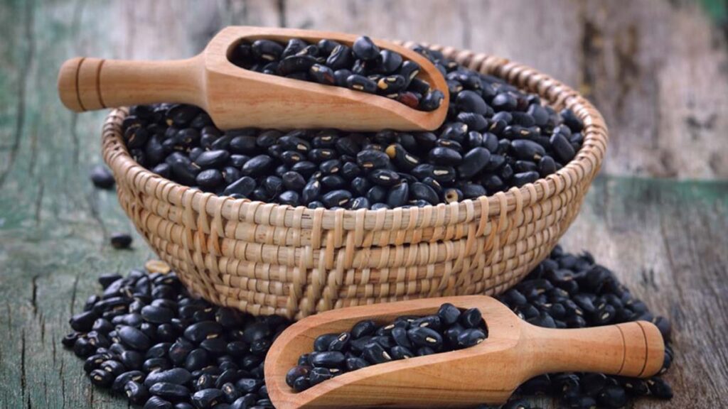 porotos poroto negro negros Grupo Ruiz Carlos Ruiz Juárez