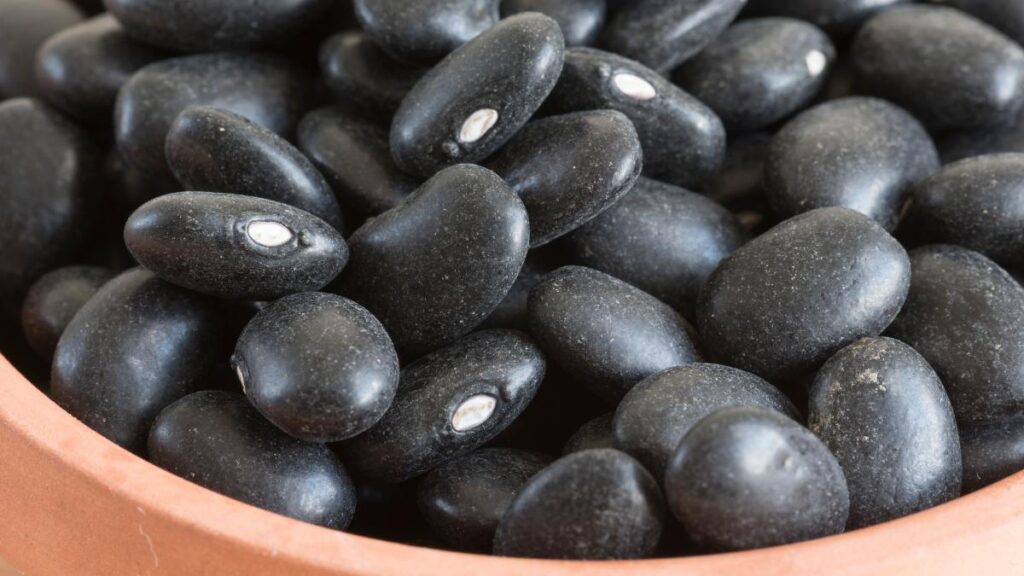 porotos negros Grupo Ruiz poroto negro Marcelo Ruiz Juárez