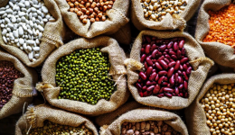 Grupo Ruiz conecta el cultivo de porotos con el desarrollo comunitario en Tucumán