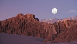 Nicolás Szekasy: El emprendedor detrás de Kaszek Ventures