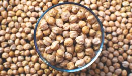 Garbanzos en Argentina: Tradición, Desafíos y Oportunidades.