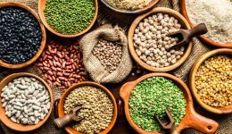 Legumbres Argentinas: Del Campo Fértil al Mercado Global.