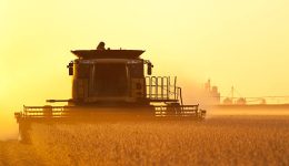 Grupo Ruiz: Transformación en la Producción de Granos