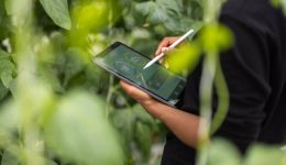 La Tecnología como Catalizador de Cambio en el Mundo Agrícola