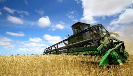 El Ascenso de las Máquinas en la Cosecha Argentina