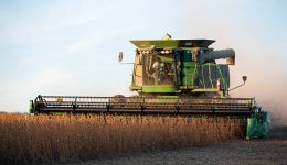Diversidad de Cultivos en Argentina: Un Pilar del Éxito Agrícola