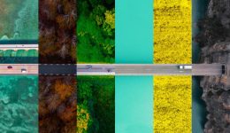 Exportación con Calidad: Cómo Paramérica Transforma el Mercado Agrícola Global