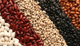 Paramérica SA: El crecimiento exponencial de los porotos negros en Argentina