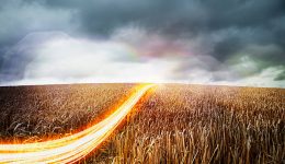 Tecnología y Tradición: Forjando el Camino Agrícola del Mañana