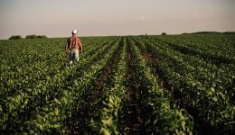 Materias Primas: La clave en el Desarrollo Económico de Sudamérica