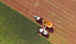 Cultivos en la Agricultura Sostenible