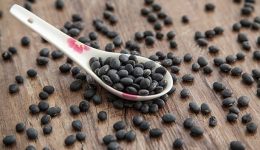Argentina: Líder en la Exportación de Porotos Negros