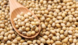 Desafíos y triunfos: La soja argentina en el mercado global