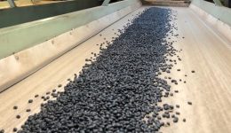 Grupo Ruiz se posiciona como pionero de los porotos negros en Tucumán