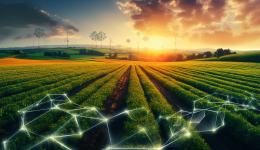 Carlos Braun y la Transformación de los Agronegocios